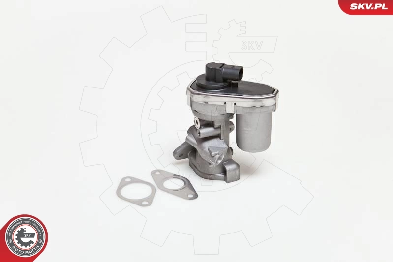 EGR Valve
